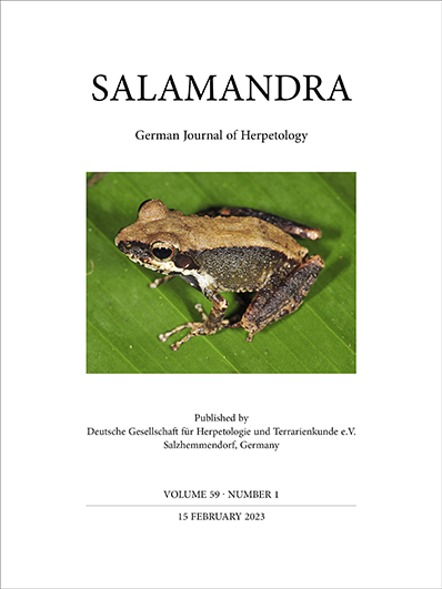 salamandra_cover
